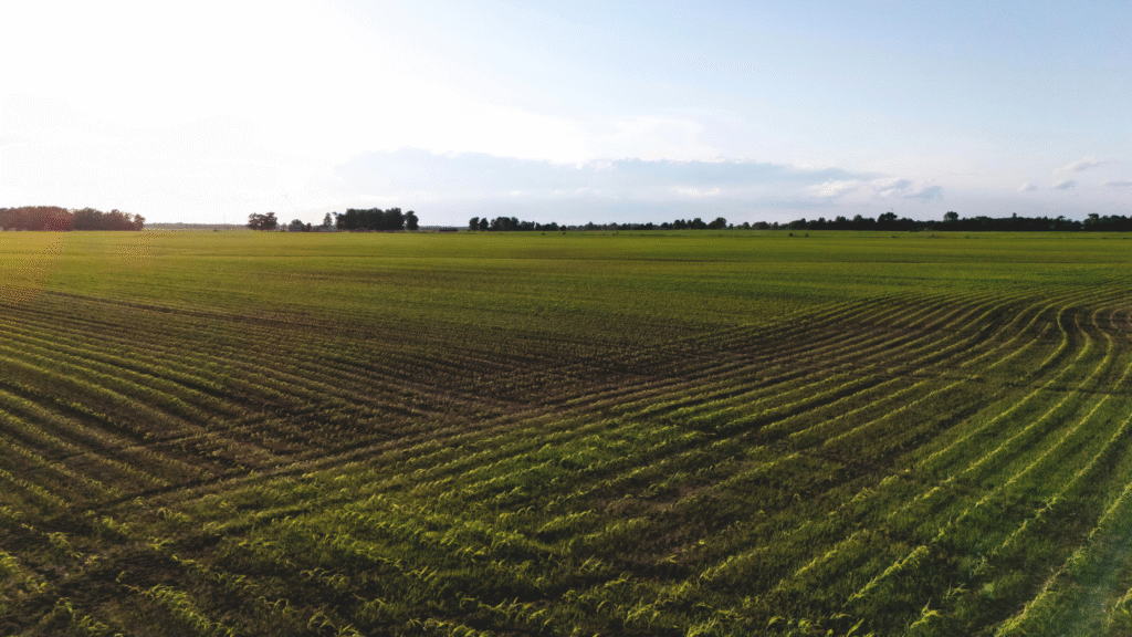 Subvenciones para frenar la despoblación rural
